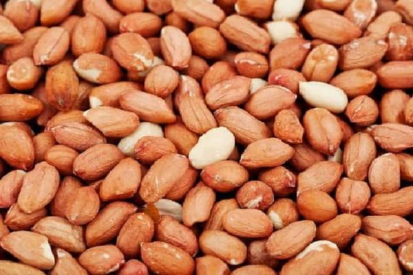 تصویر 4 از قیمت خرید بادام زمینی کپسولی به صرفه و ارزان